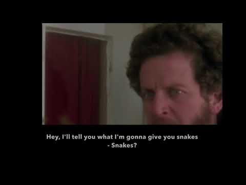 Learn/Practice English with MOVIES (Lesson #41) Title: Home Alone